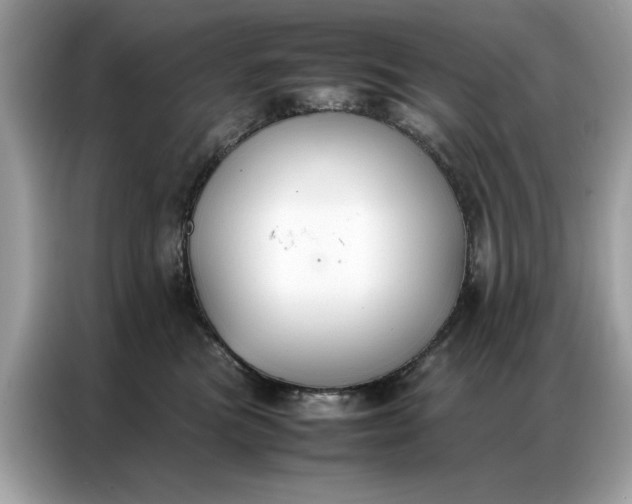 X0000086790473200704271834