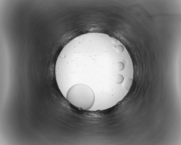 X0000086790475200704271834