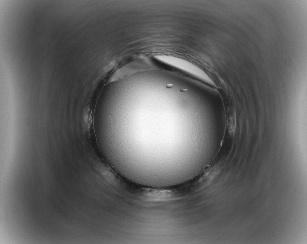 X0000086790476200704271834