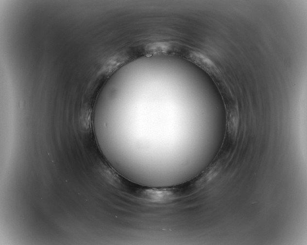 X0000086790477200704271834