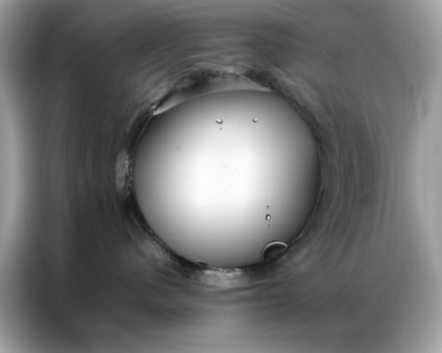 X0000086790480200704271834