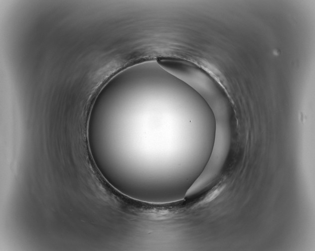 X0000086790481200704271833