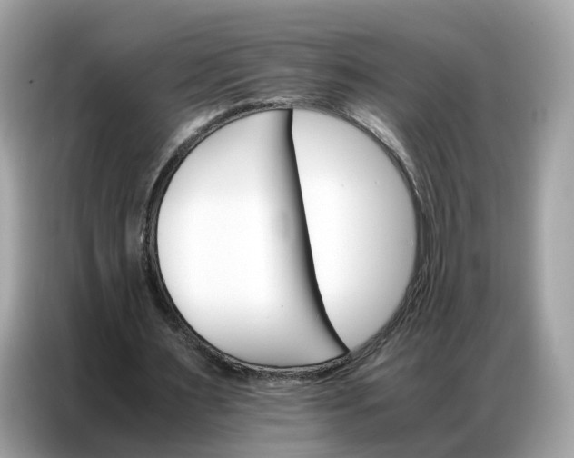 X0000086790483200704271833