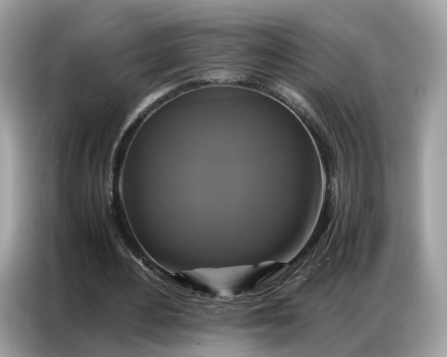 X0000086790484200704271833