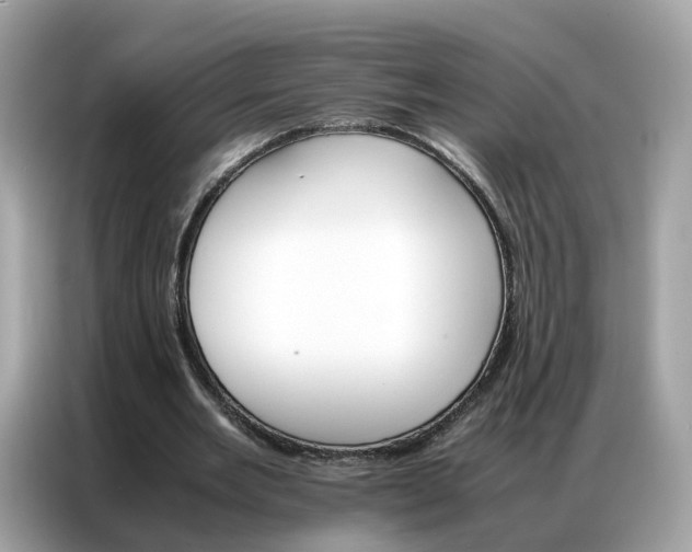 X0000086790485200704271833