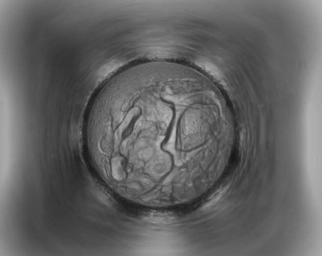 X0000086790487200704271833