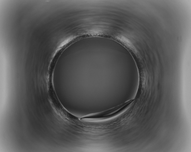 X0000086790488200704271833