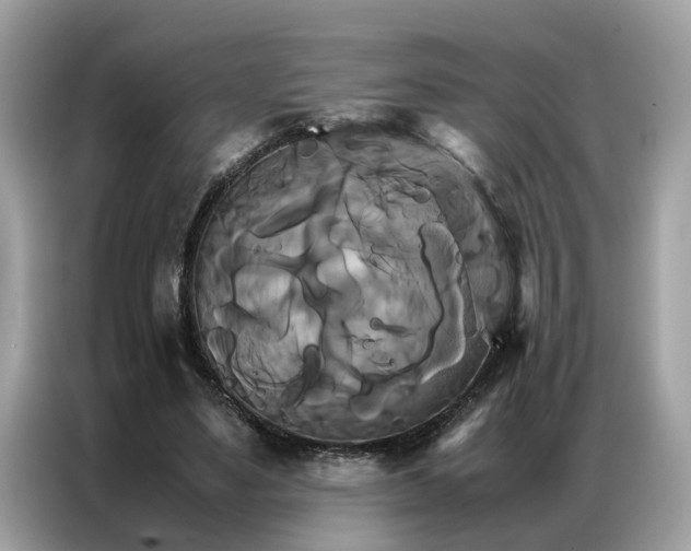 X0000086790491200704271833