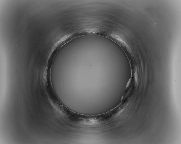 X0000086790492200704271833