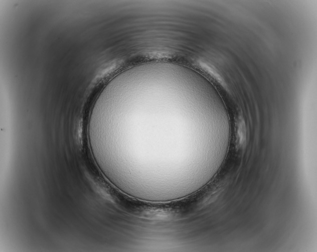 X0000086790494200704271833