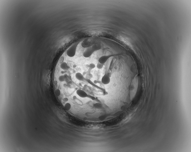 X0000086790495200704271833