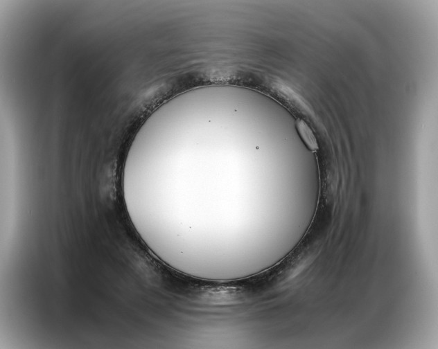 X0000086790497200704271833