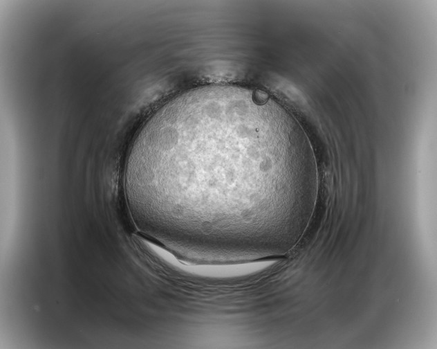 X0000086790499200704271833