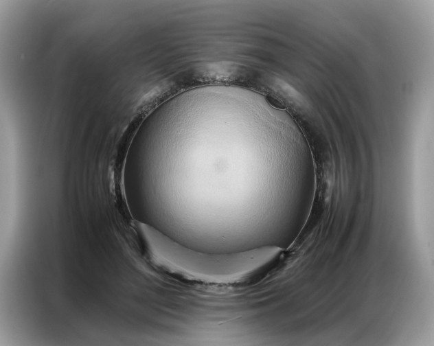 X0000086790500200704271833