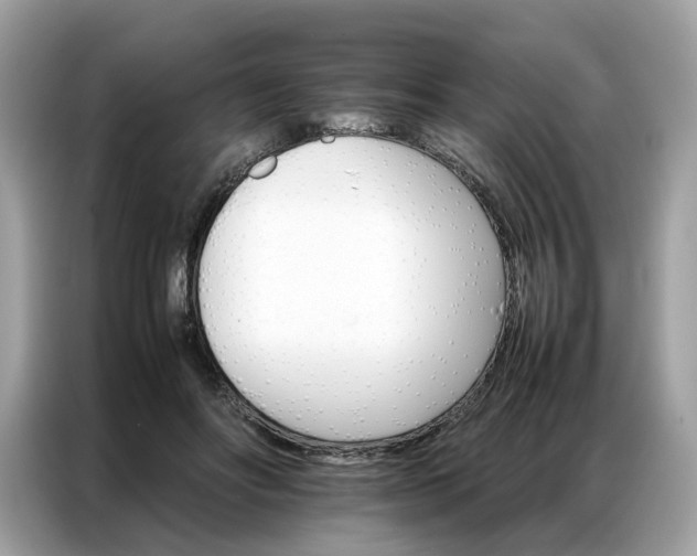 X0000086790502200704271833