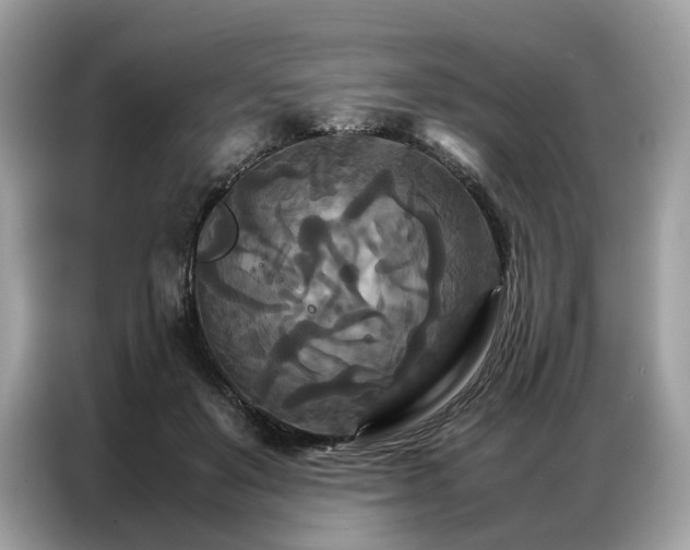 X0000086790503200704271833