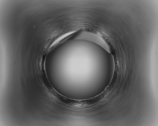 X0000086790504200704271833