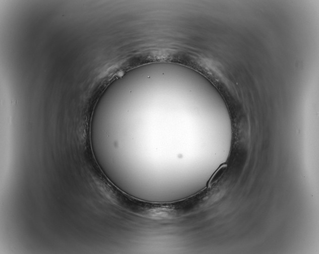 X0000086790505200704271833