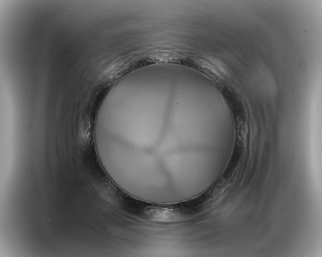 X0000086790507200704271833