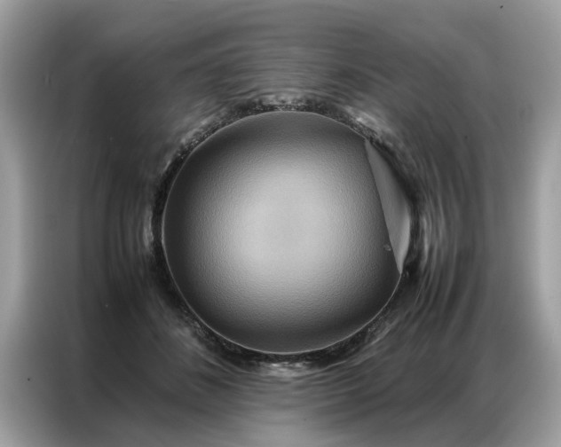 X0000086790508200704271833