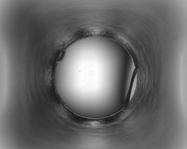 X0000086790509200704271833