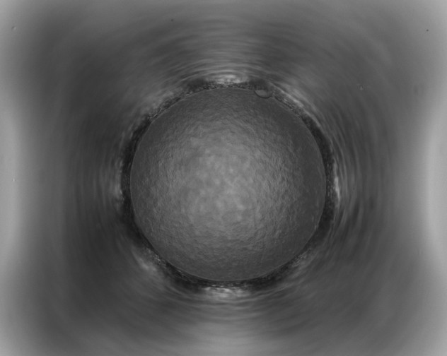 X0000086790512200704271833