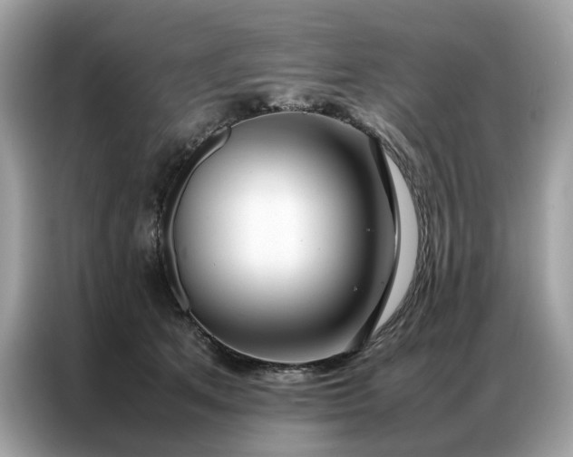 X0000086790513200704271833