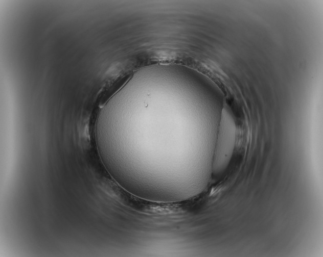 X0000086790516200704271833