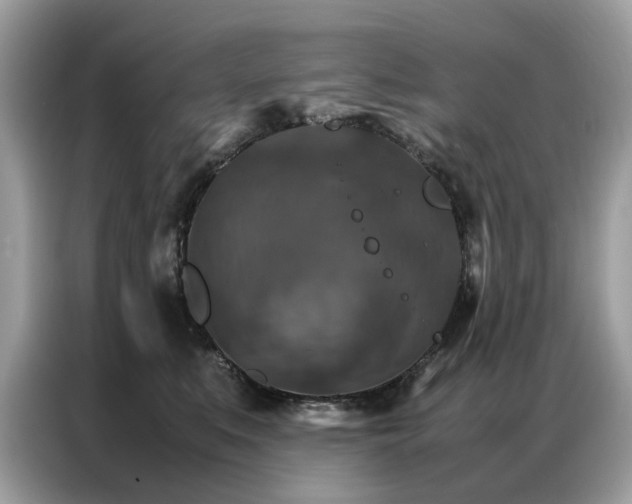 X0000086790519200704271833