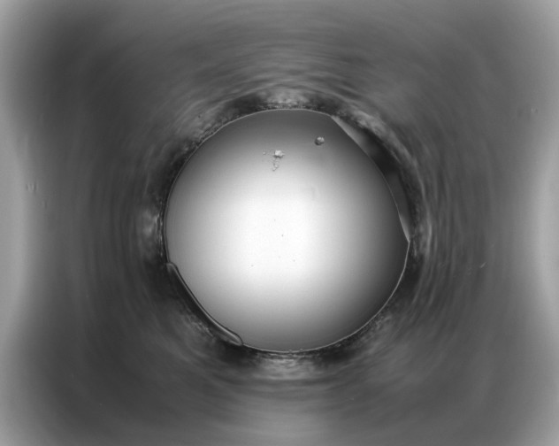 X0000086790521200704271833