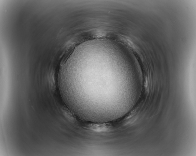 X0000086790524200704271833