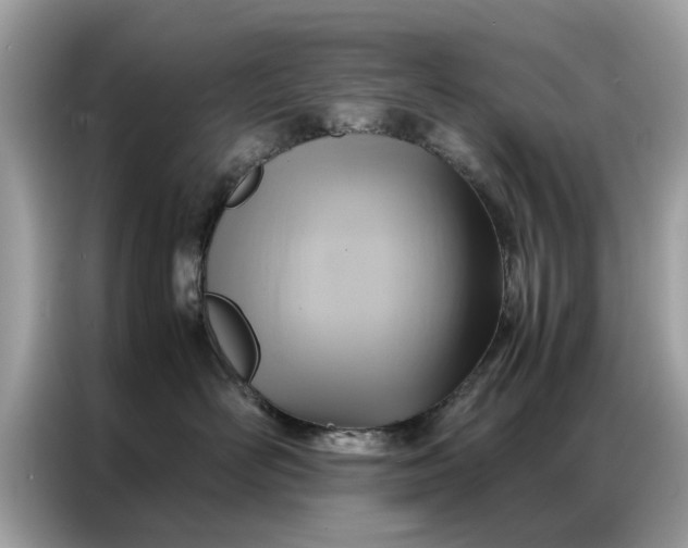 X0000086790526200704271833