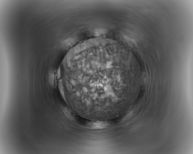 X0000086790527200704271833