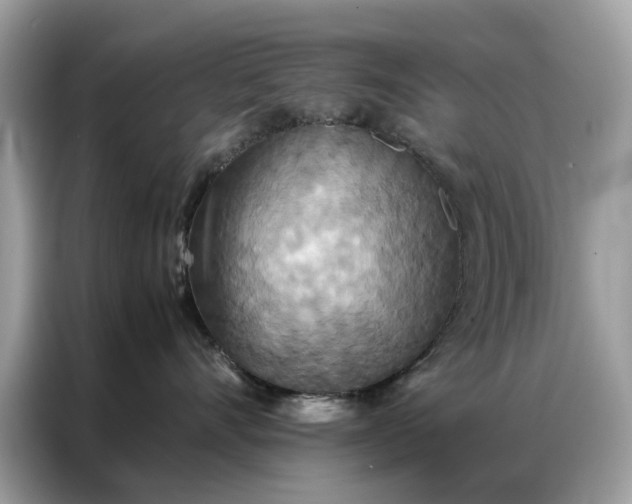 X0000086790528200704271833