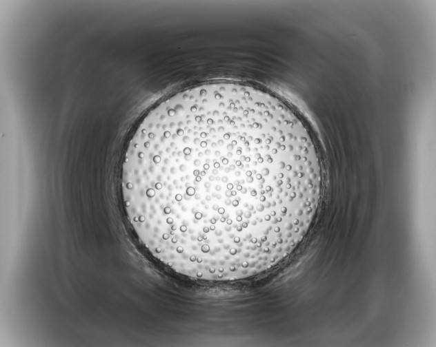 X0000086790529200704271832