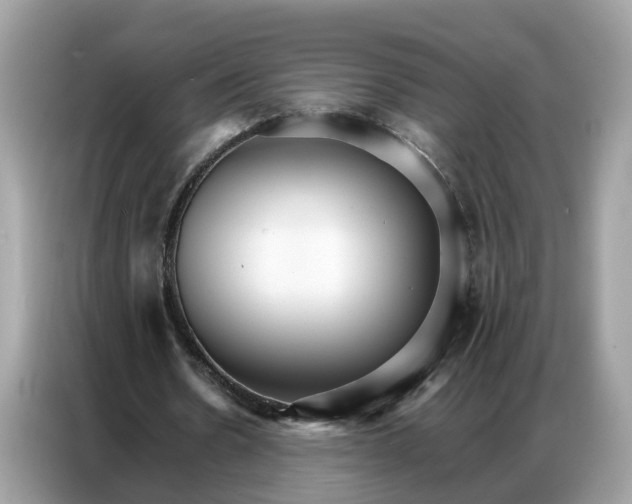 X0000086790530200704271832