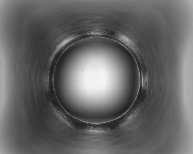 X0000086790531200704271832