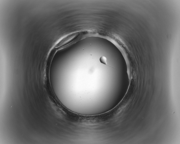 X0000086790532200704271832