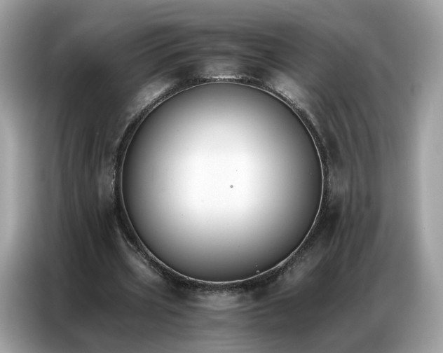 X0000086790533200704271832