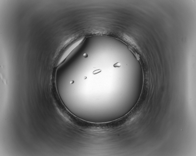 X0000086790538200704271832