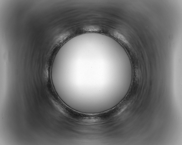 X0000086790541200704271832