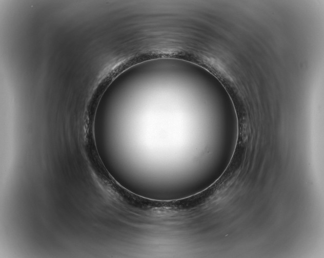 X0000086790544200704271832