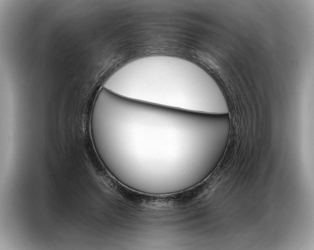 X0000086790546200704271832