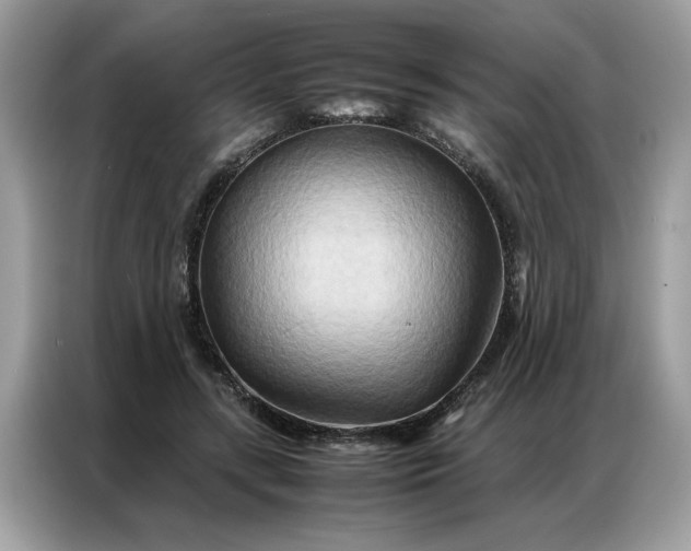 X0000086790547200704271832