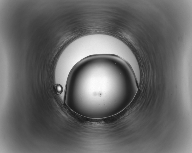 X0000086790548200704271832