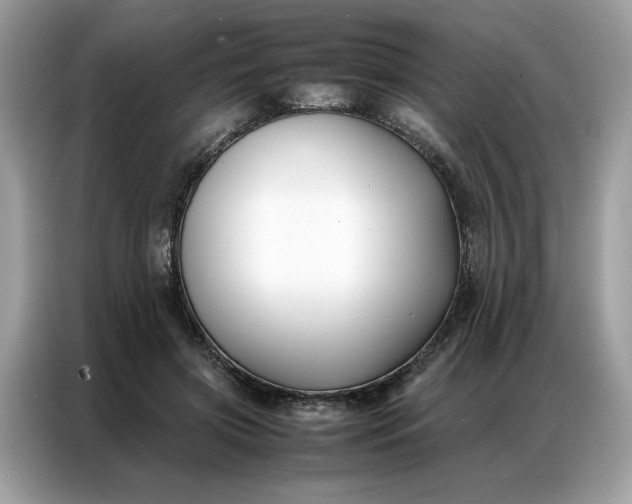 X0000086790549200704271832