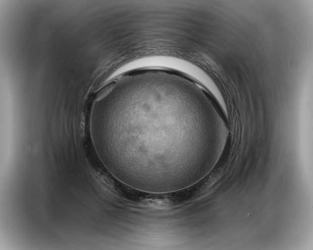 X0000086790552200704271832