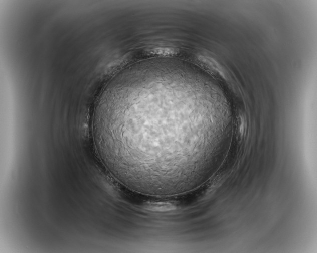 X0000086790553200704271832