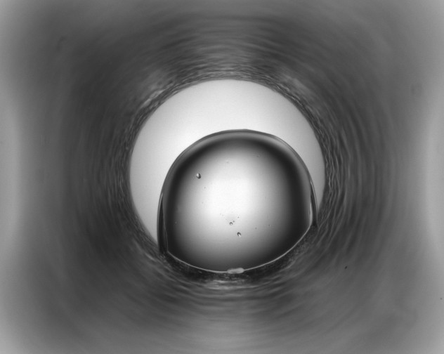 X0000086790556200704271832