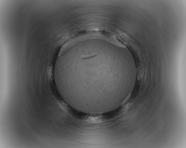 X0000086790560200704271832